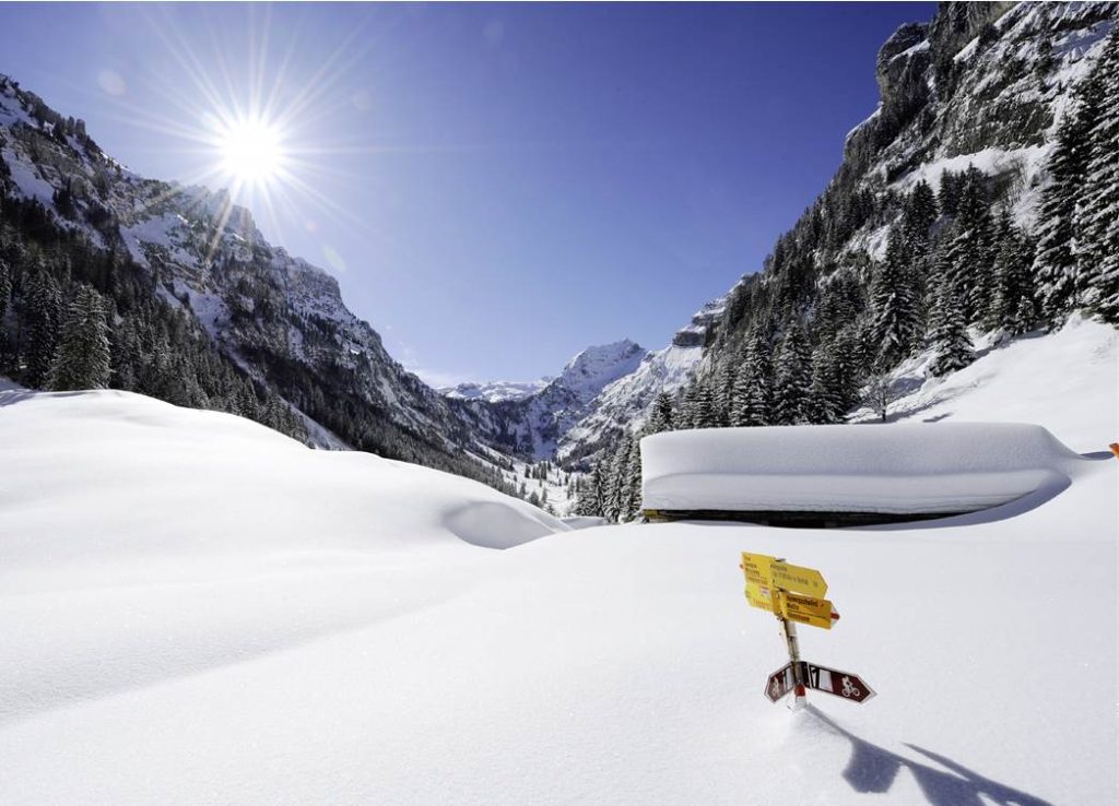 Kanton Glarus (CH) Grischconsulta Grischconsulta